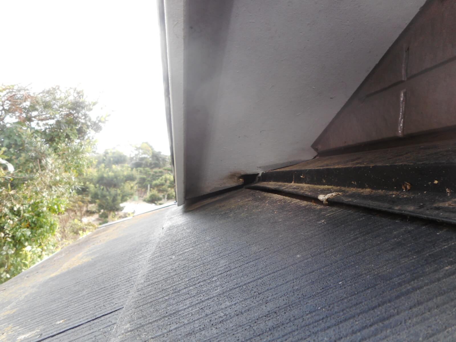 コウモリ駆除・対策チーム