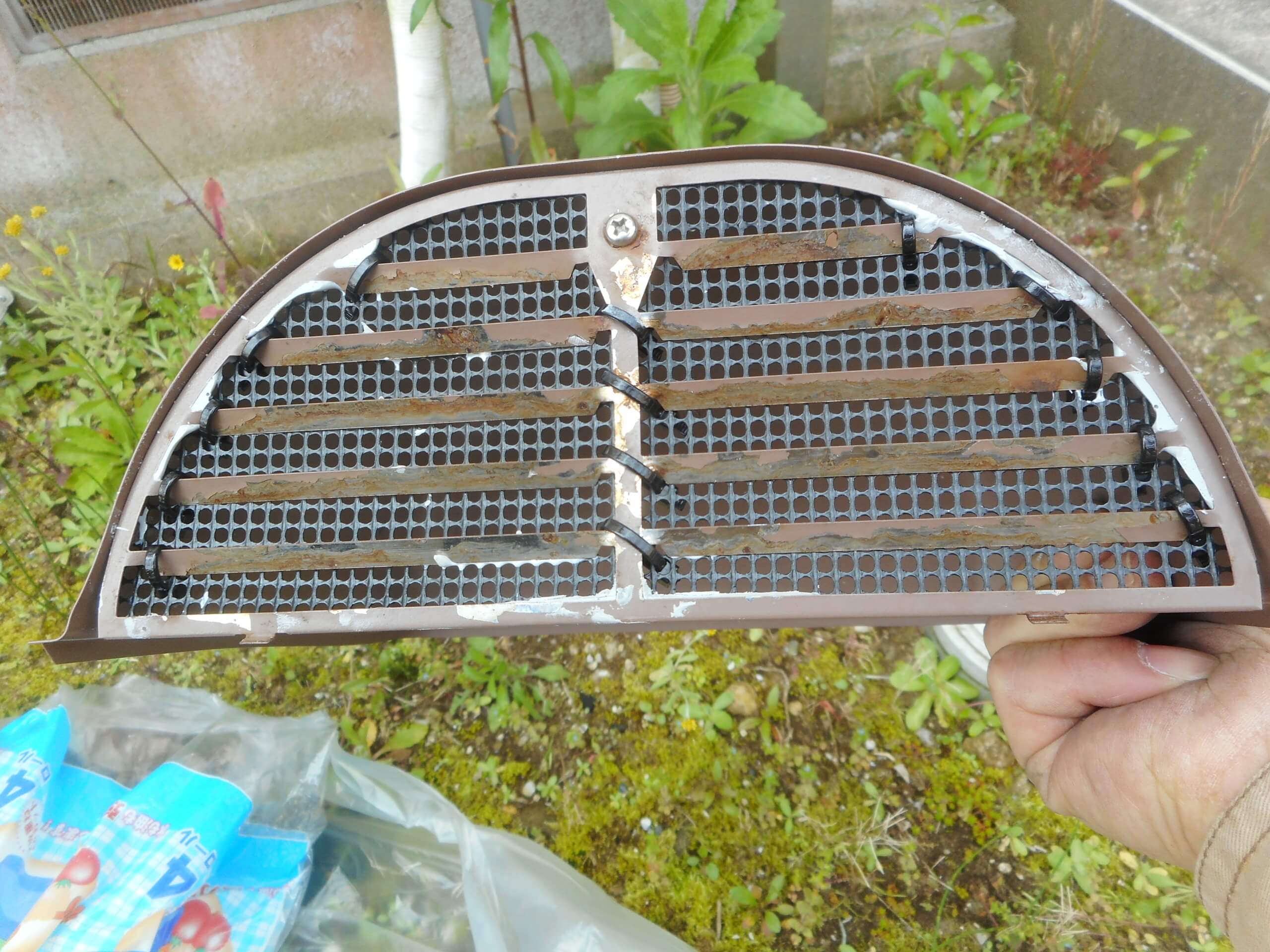 コウモリ駆除・対策チーム