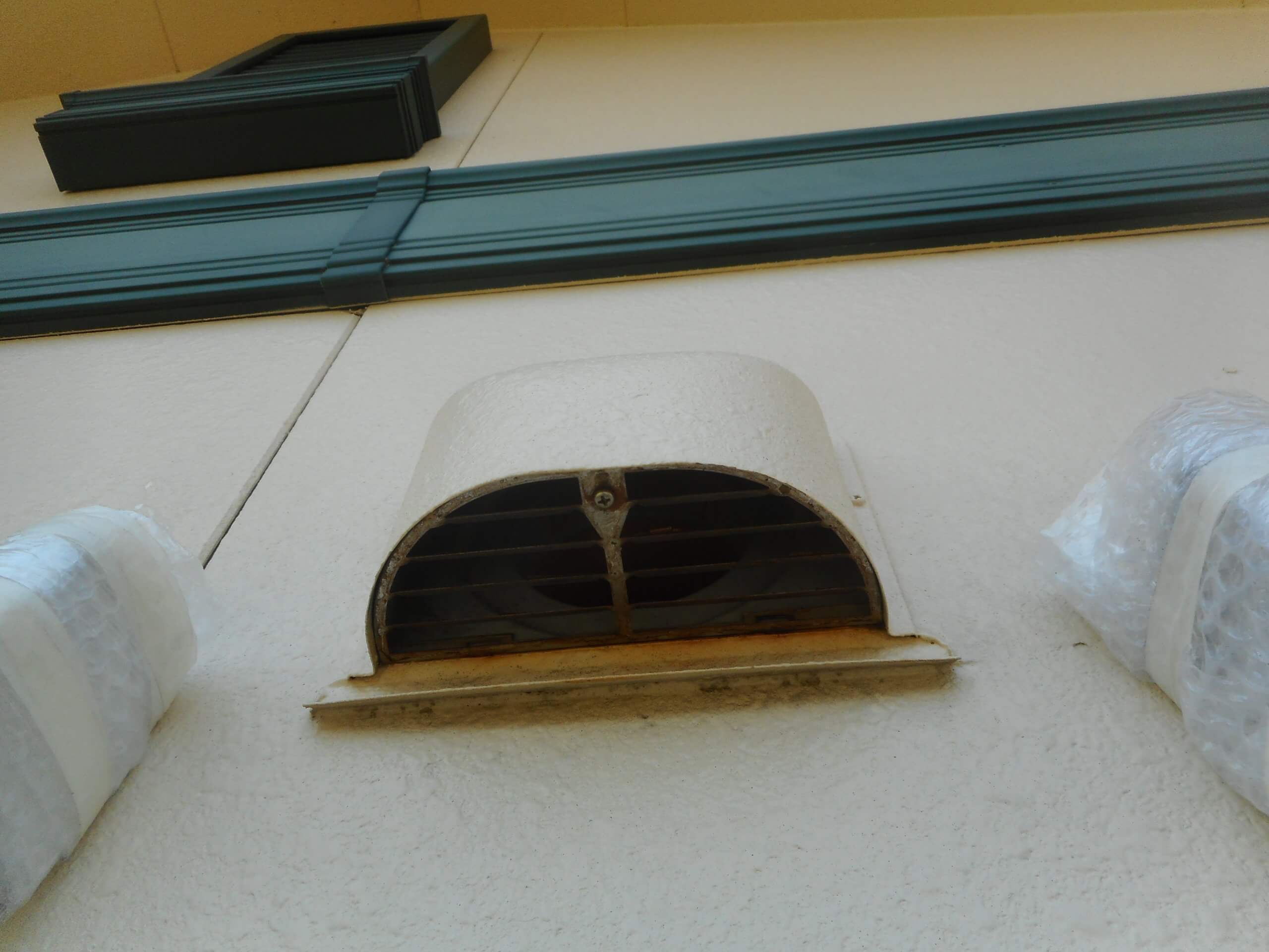 コウモリ駆除・対策チーム