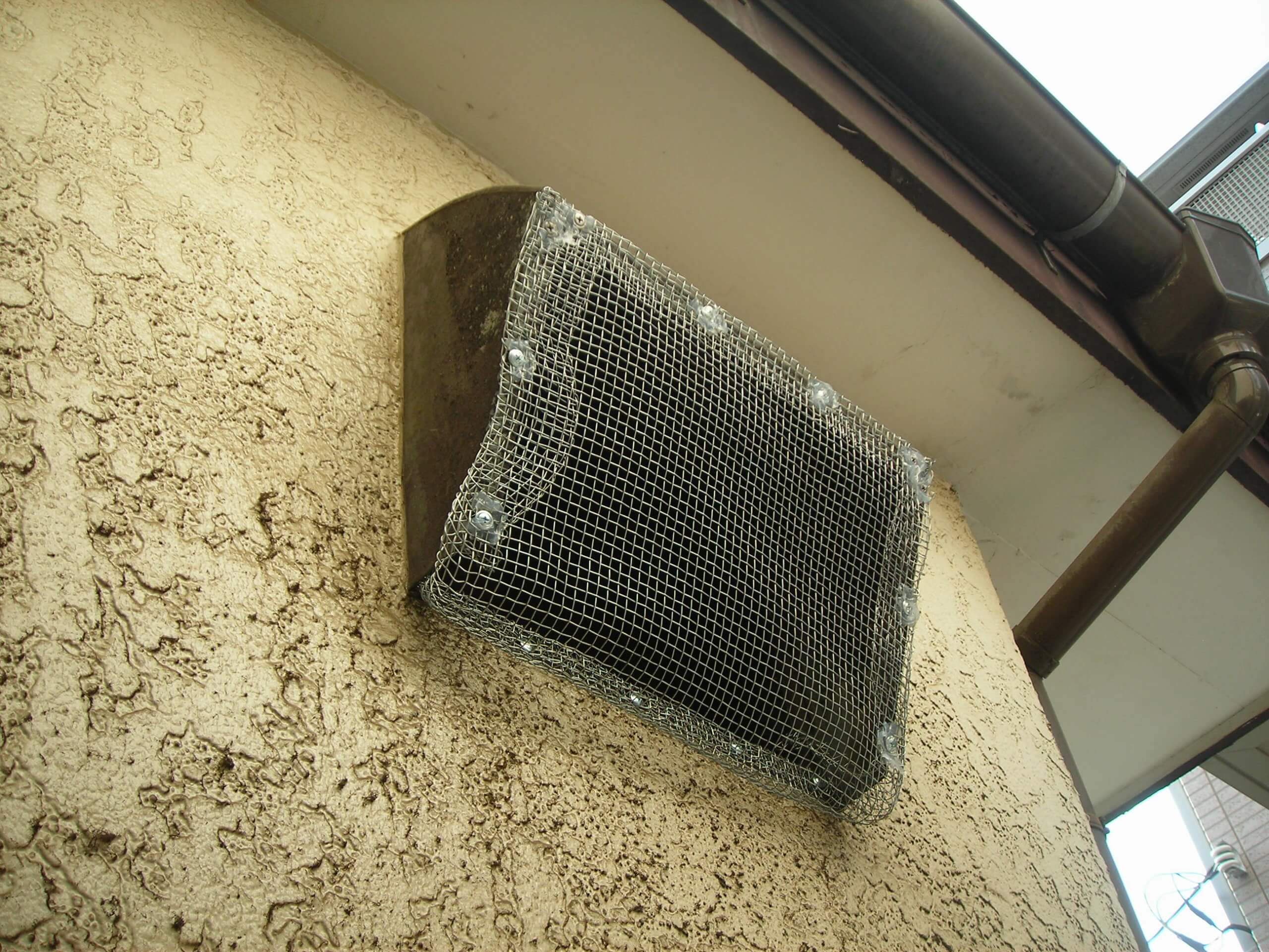 コウモリ駆除・対策チーム