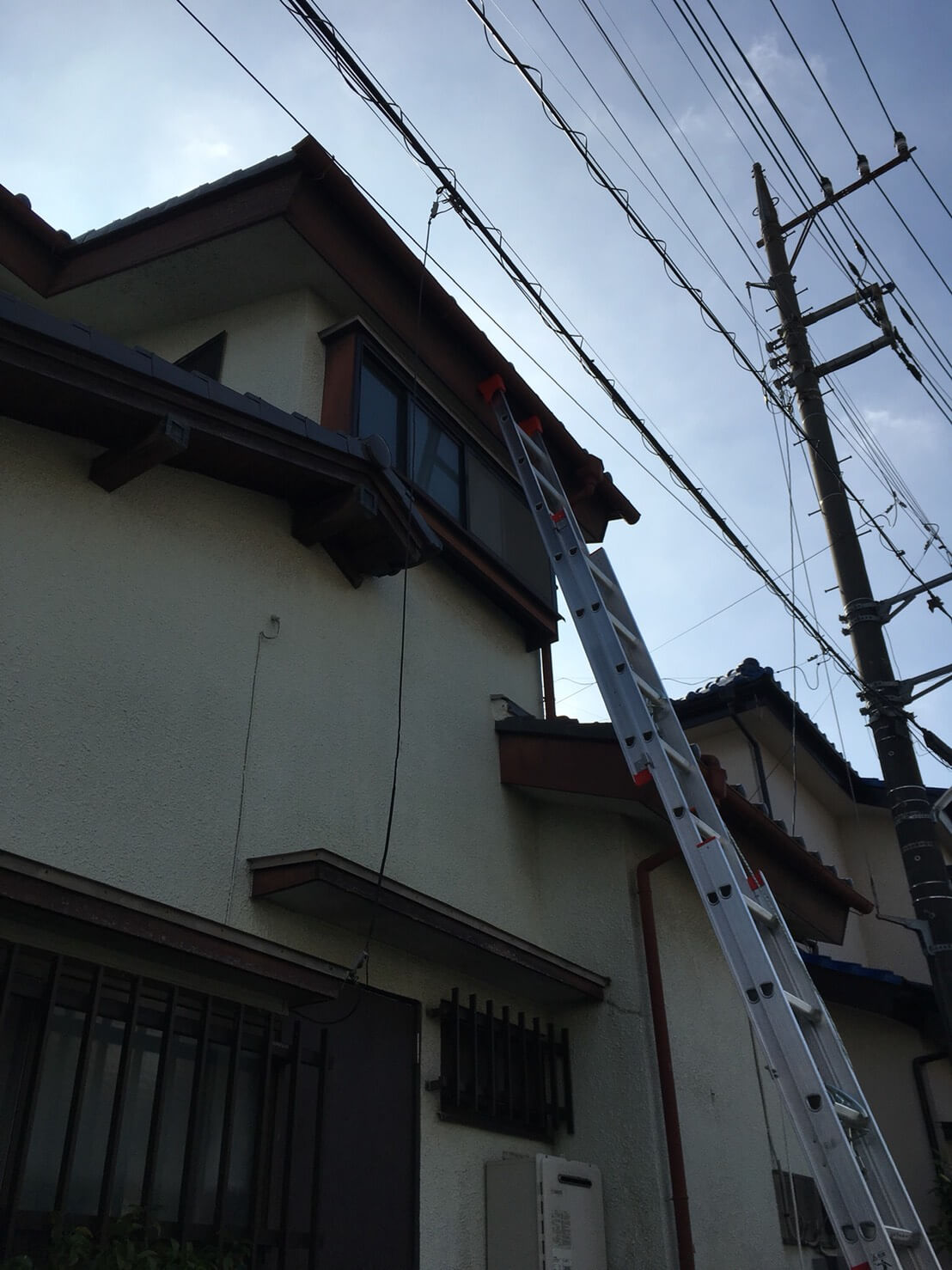 コウモリ駆除・対策チーム