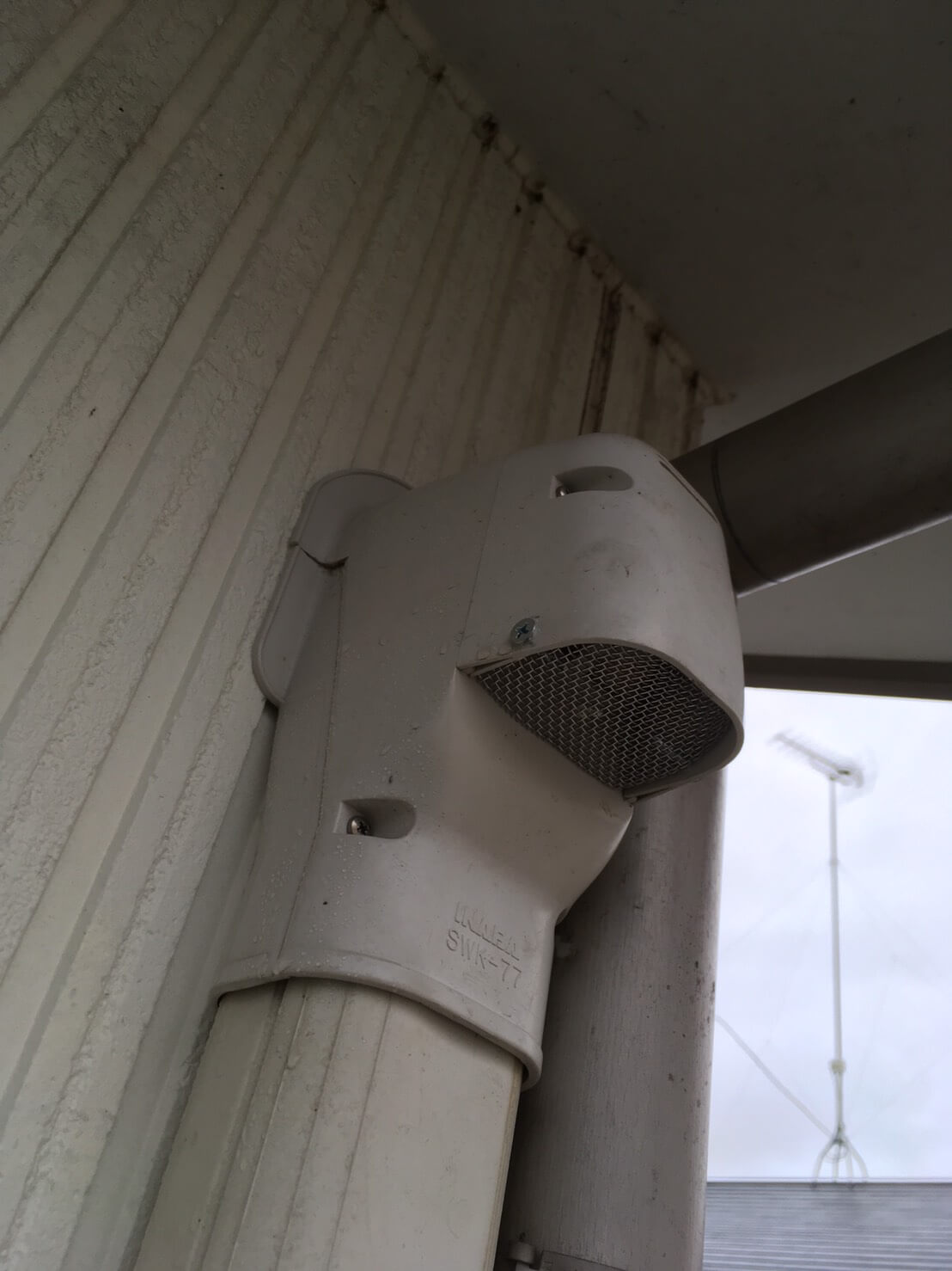 コウモリ駆除・対策チーム