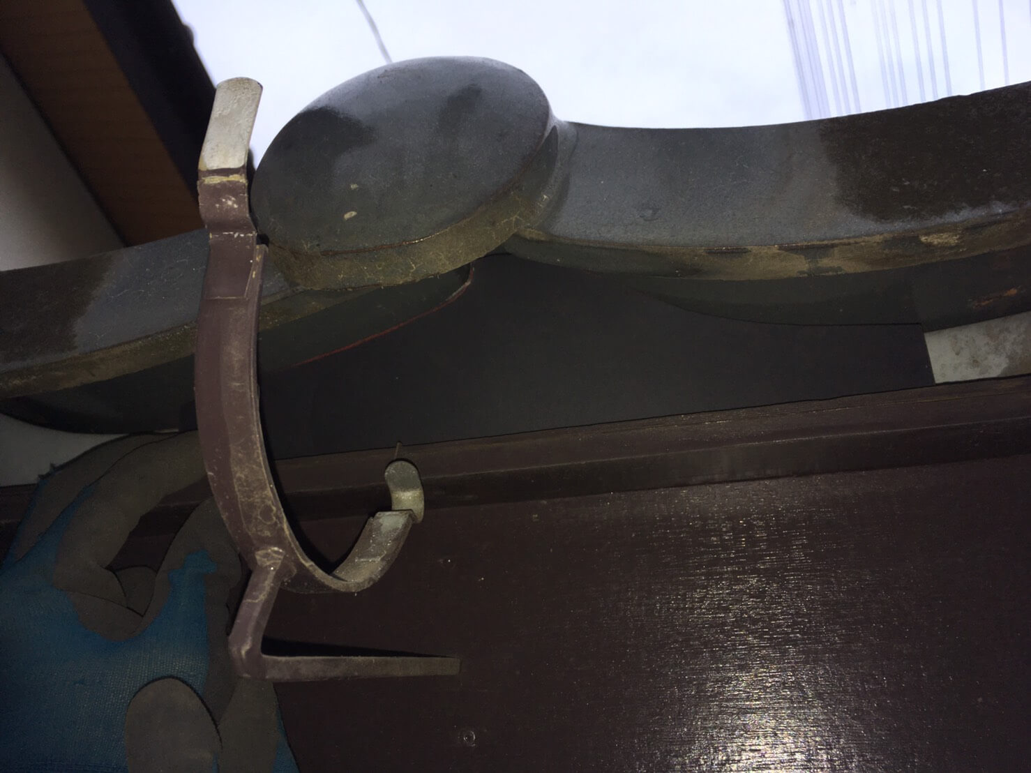 コウモリ駆除・対策チーム