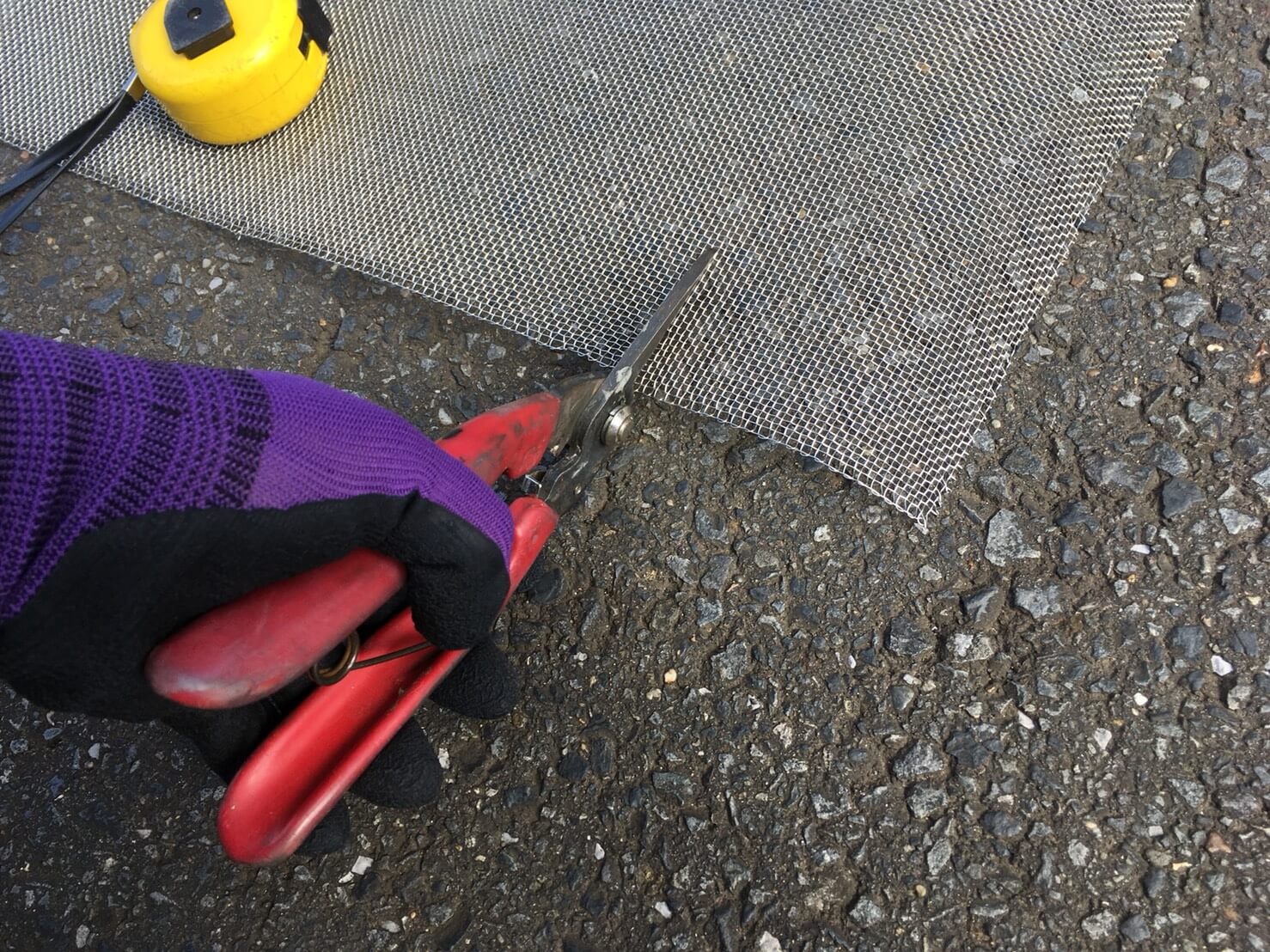 コウモリ駆除・対策チーム