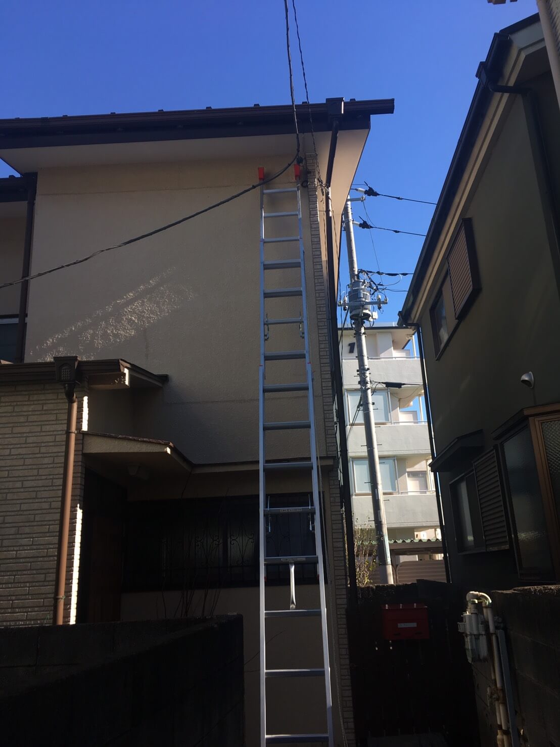 コウモリ駆除・対策チーム