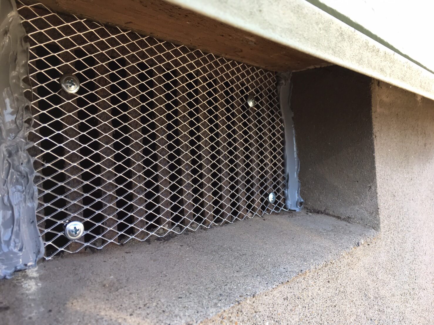 コウモリ駆除・対策チーム