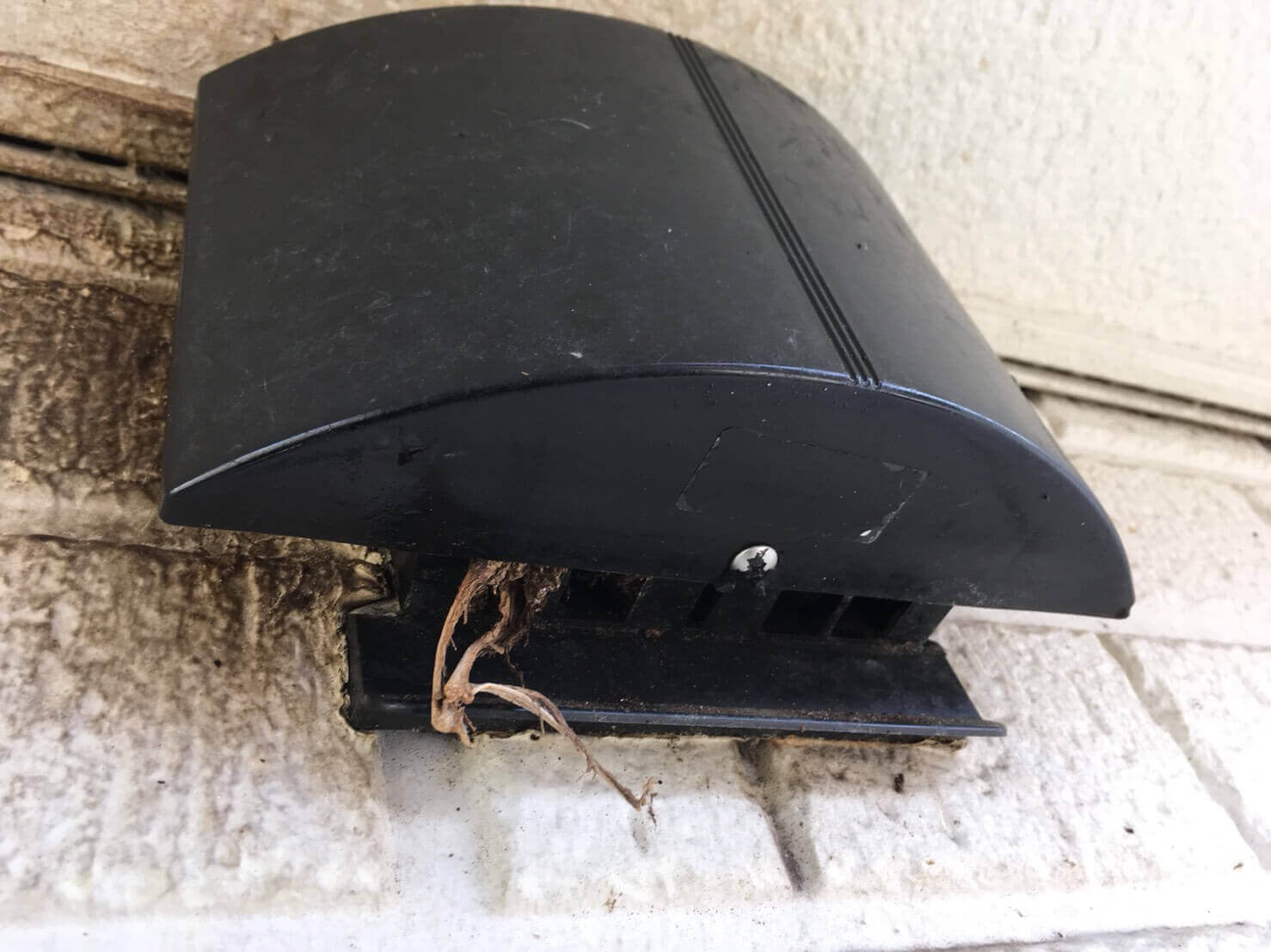 コウモリ駆除・対策チーム