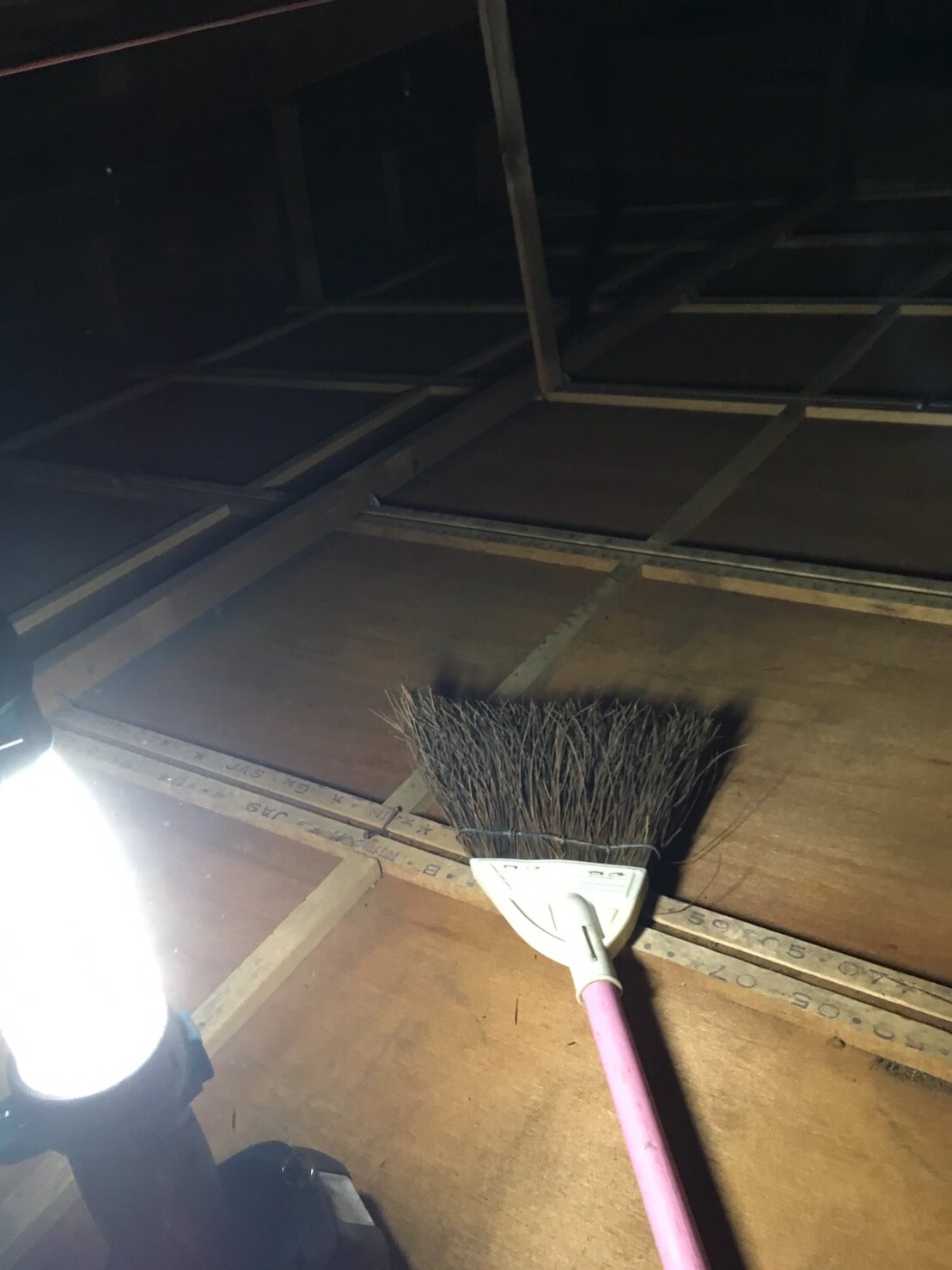 コウモリ駆除・対策チーム