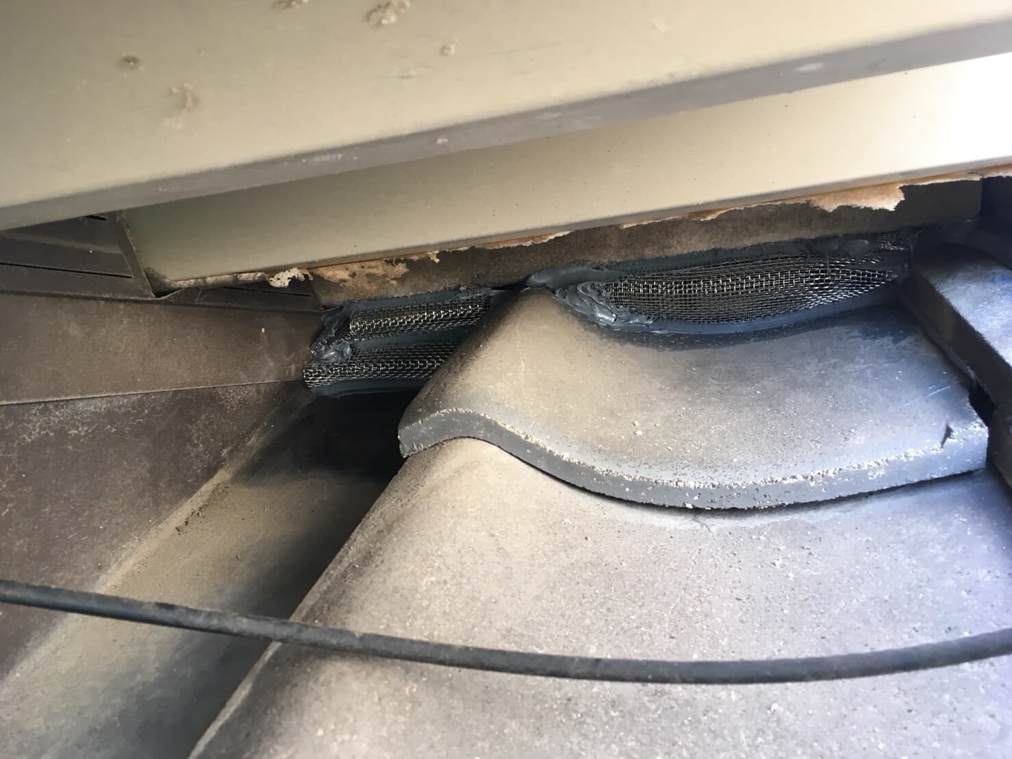 コウモリ駆除・対策チーム