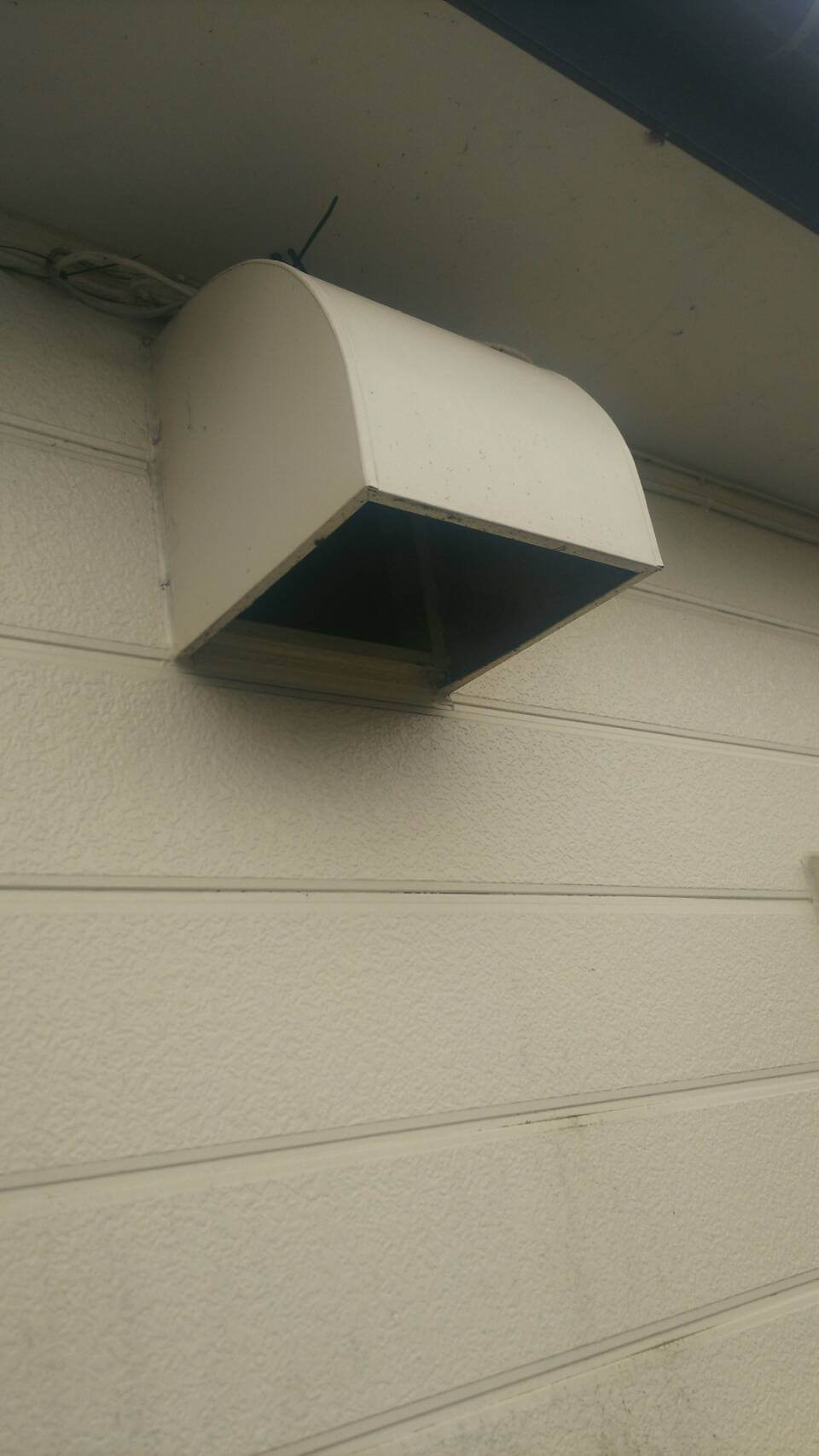 コウモリ駆除・対策チーム