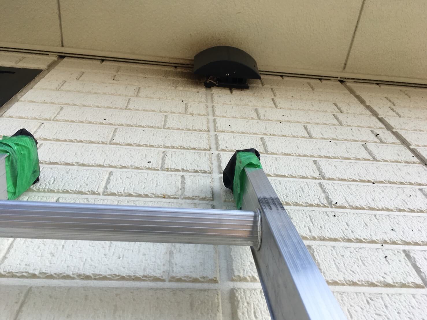 コウモリ駆除・対策チーム