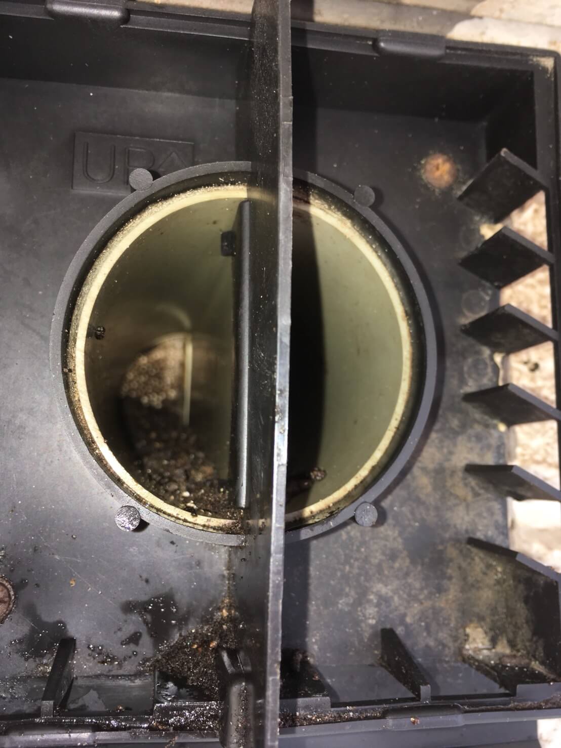 コウモリ駆除・対策チーム