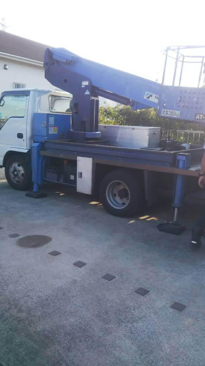 コウモリ駆除・対策チーム