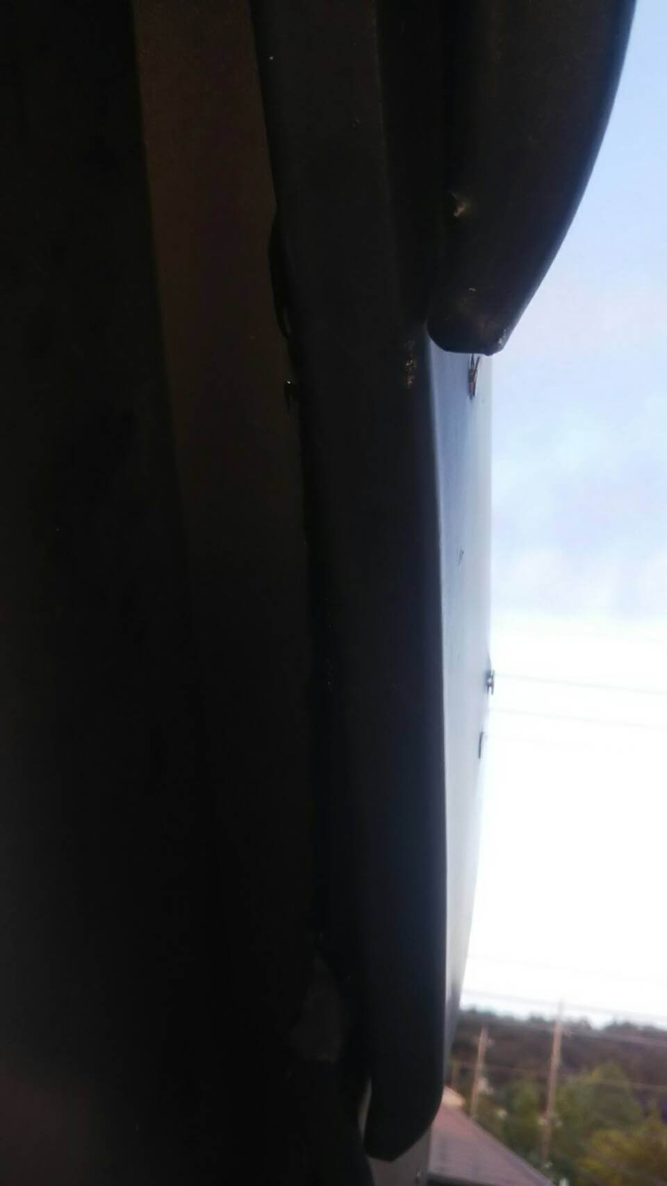 コウモリ駆除・対策チーム