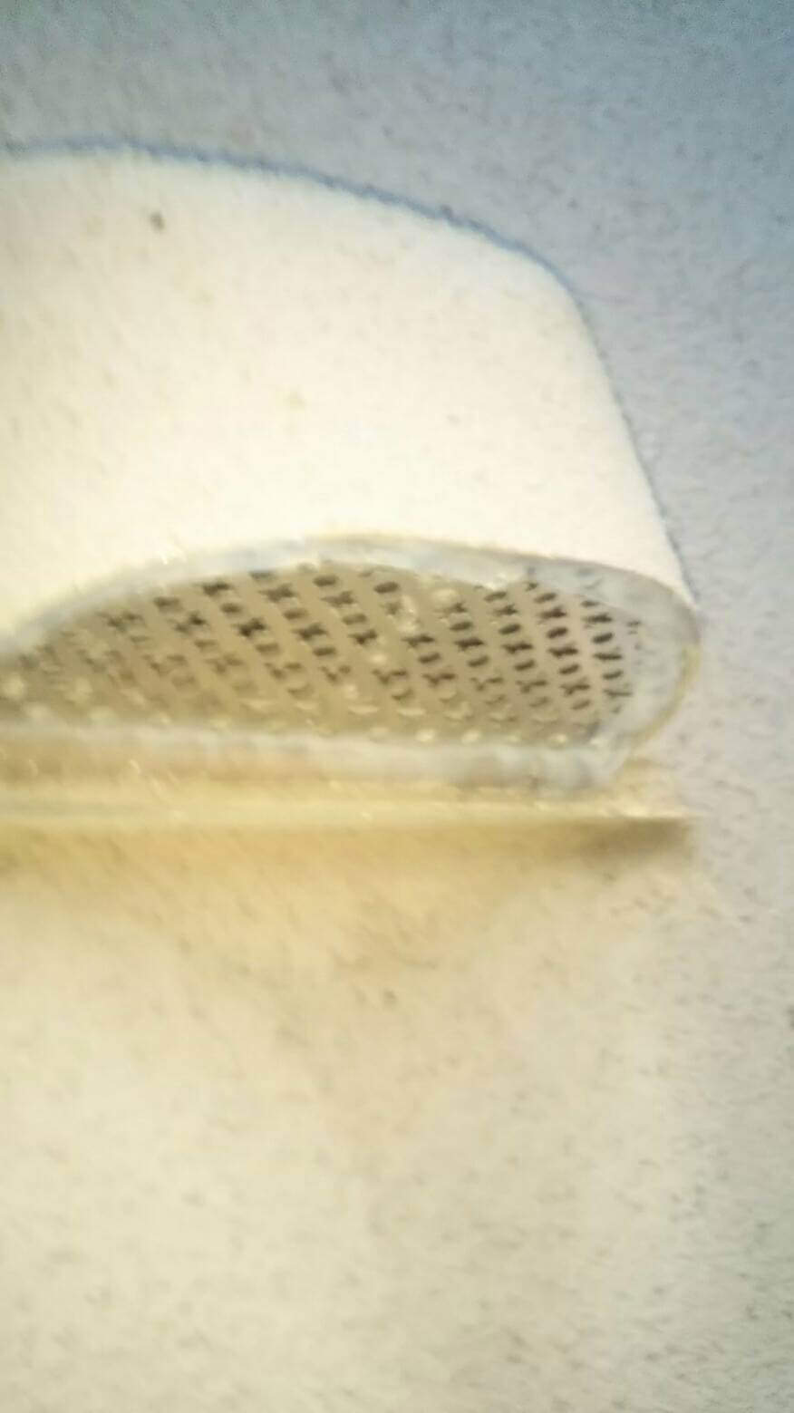 コウモリ駆除・対策チーム