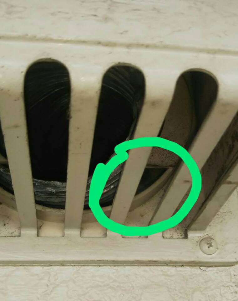 コウモリ駆除・対策チーム