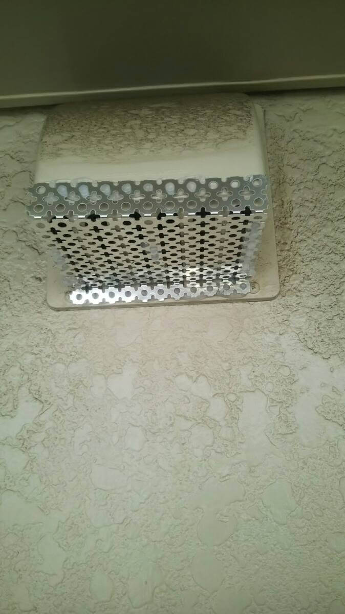 コウモリ駆除・対策チーム