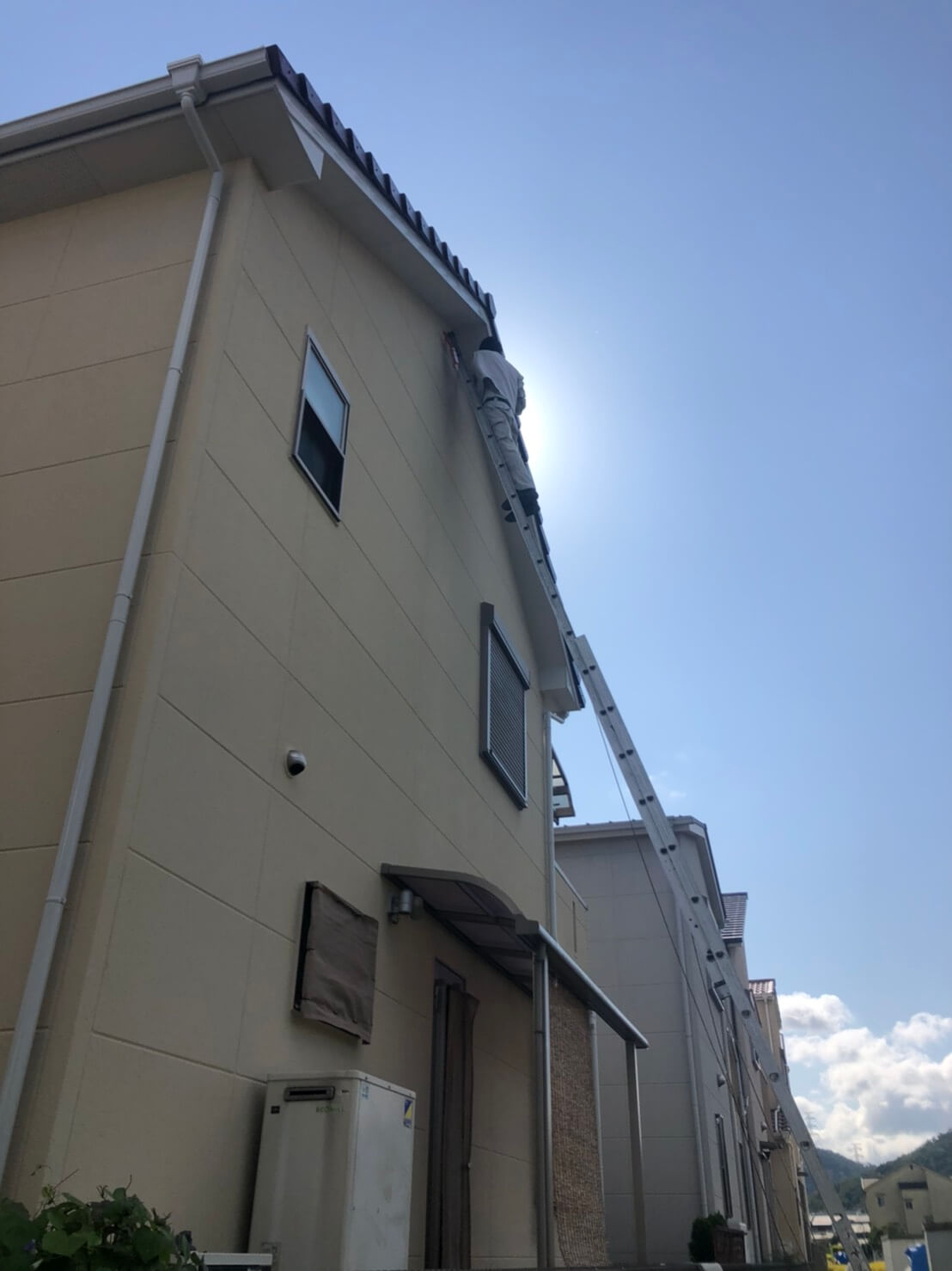 コウモリ駆除・対策チーム