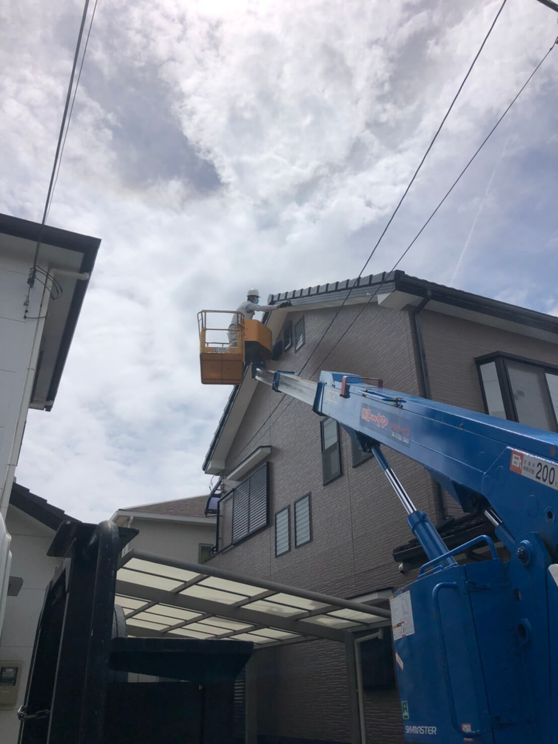 コウモリ駆除・対策チーム