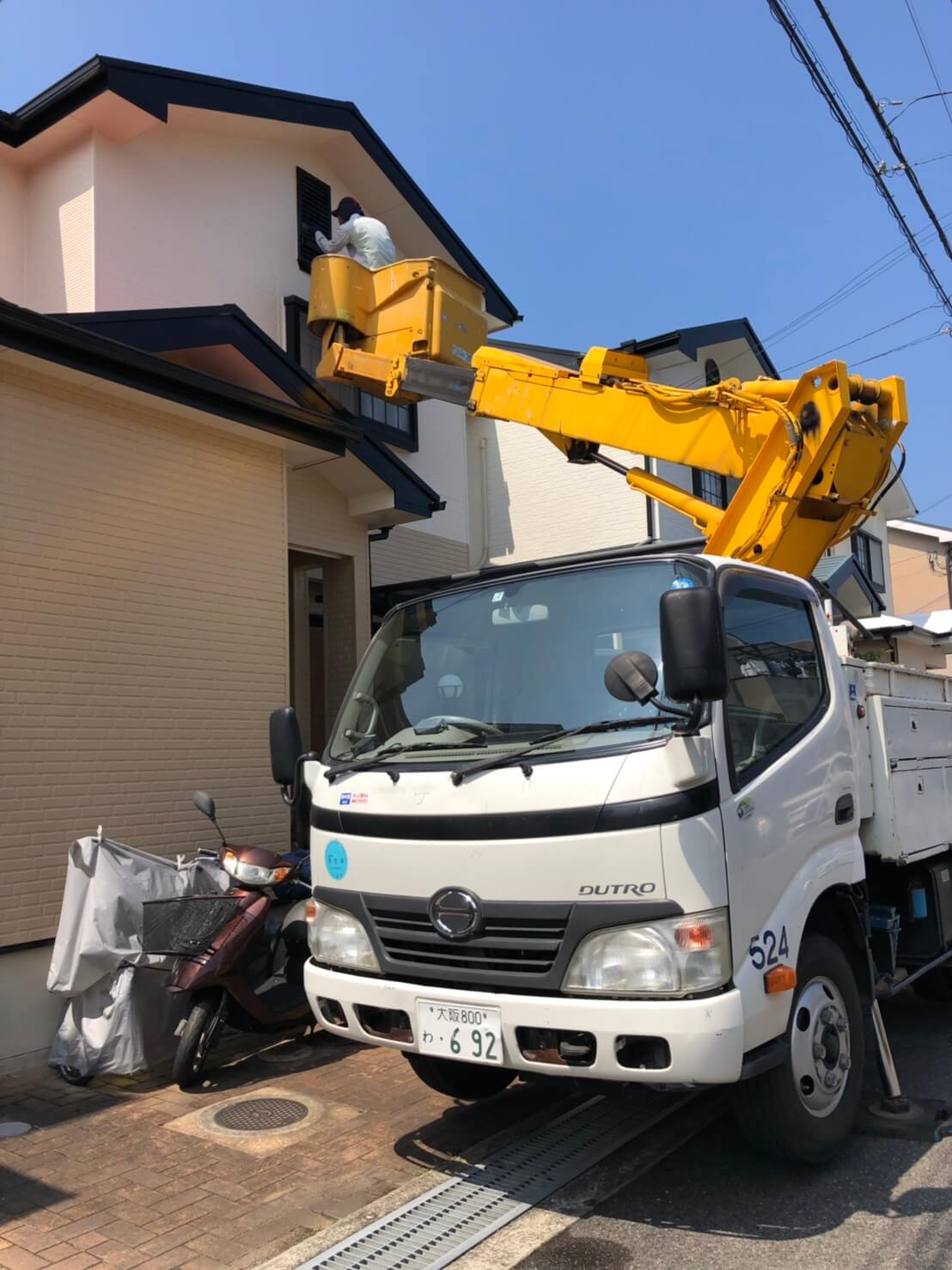 コウモリ駆除・対策チーム