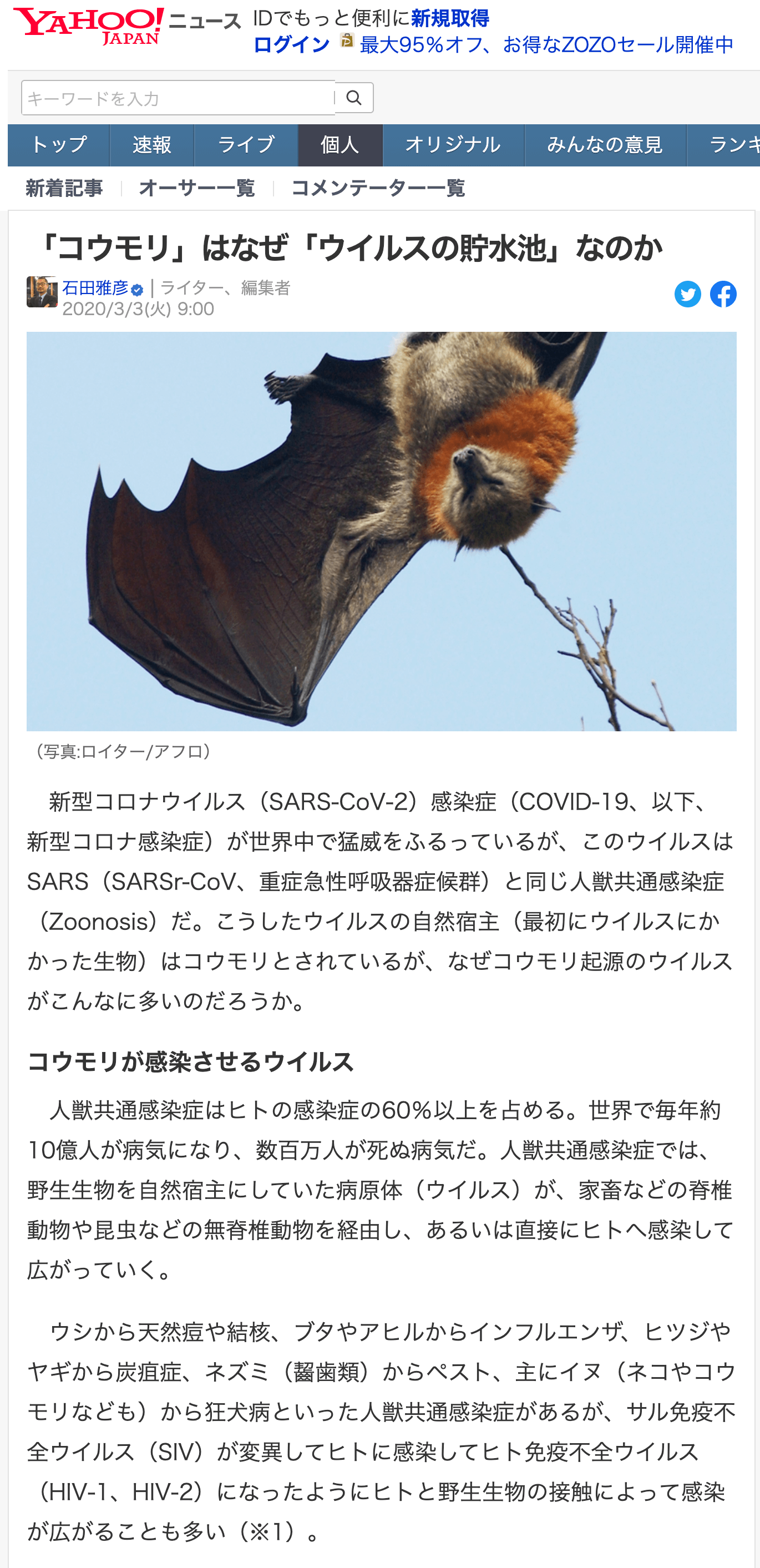 コウモリ駆除・対策チーム