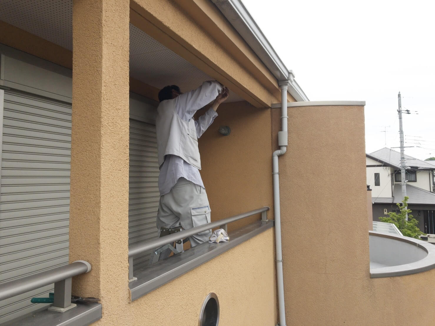 コウモリ駆除・対策チーム