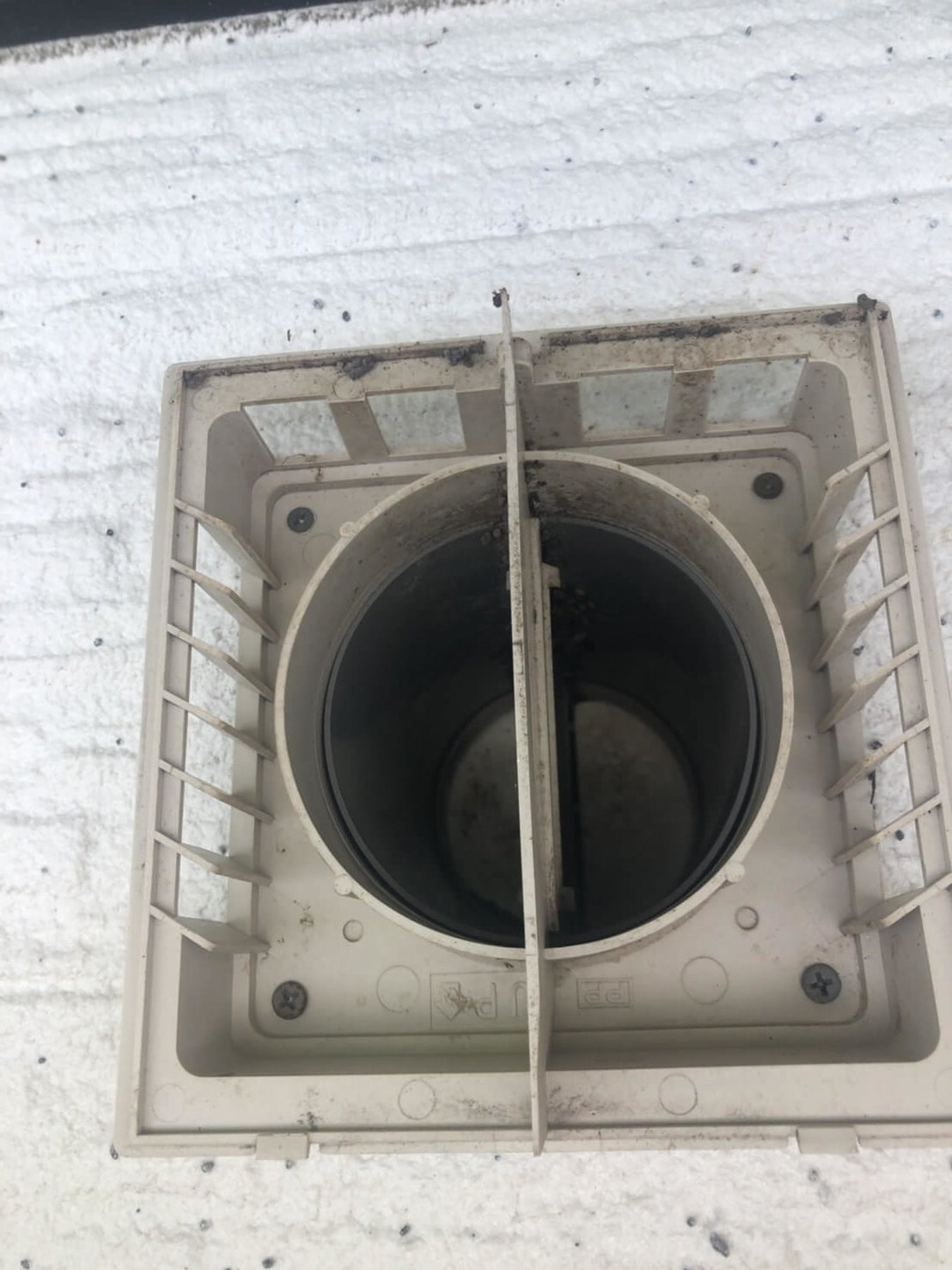 コウモリ駆除・対策チーム