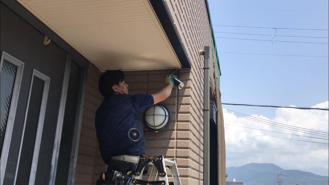 コウモリ駆除・対策チーム