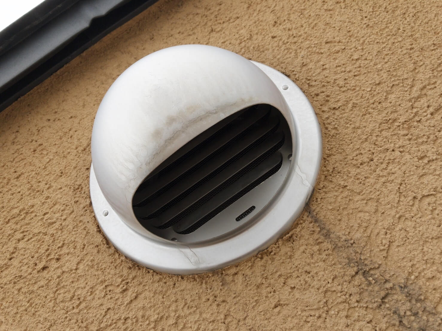 コウモリ駆除・対策チーム