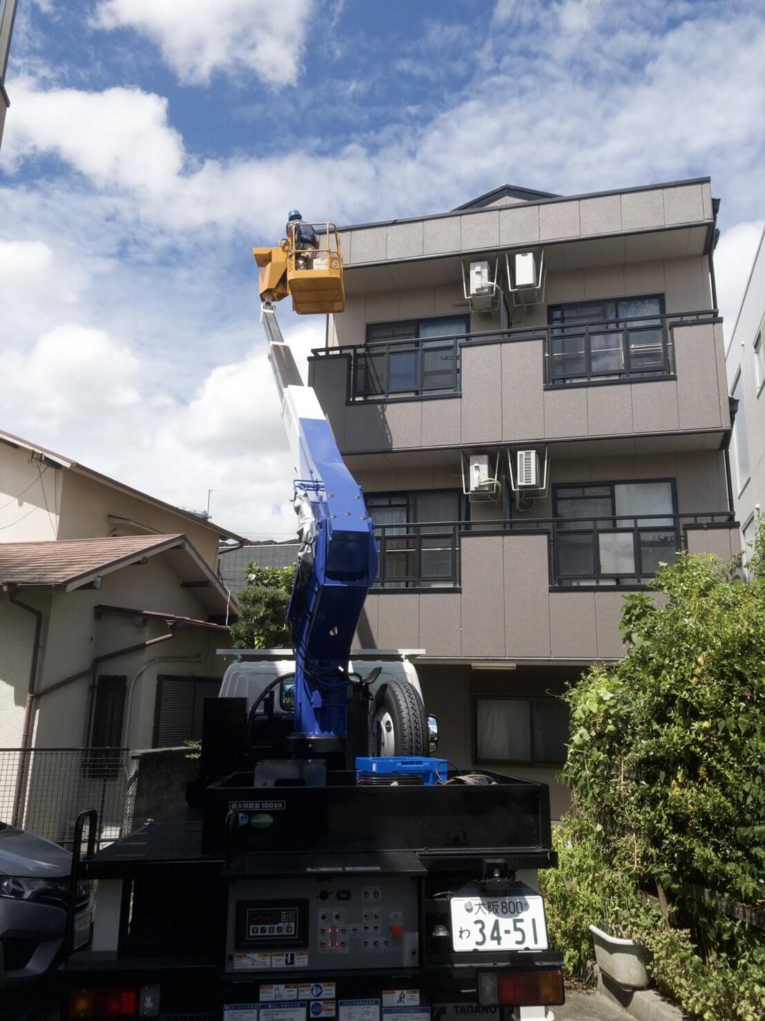 コウモリ駆除・対策チーム