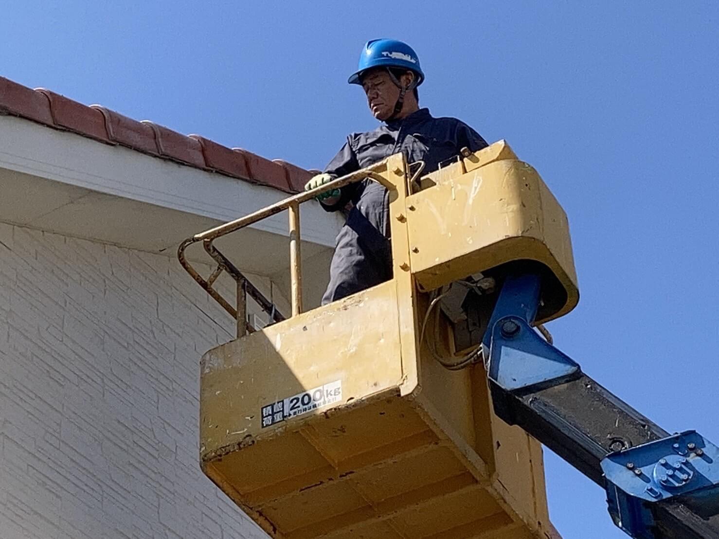 コウモリ駆除・対策チーム