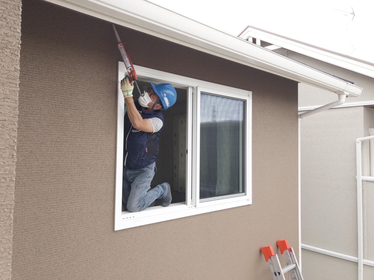 コウモリ駆除・対策チーム