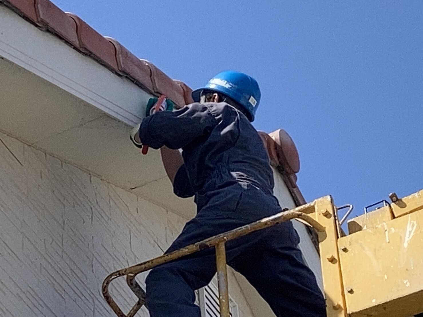 コウモリ駆除・対策チーム