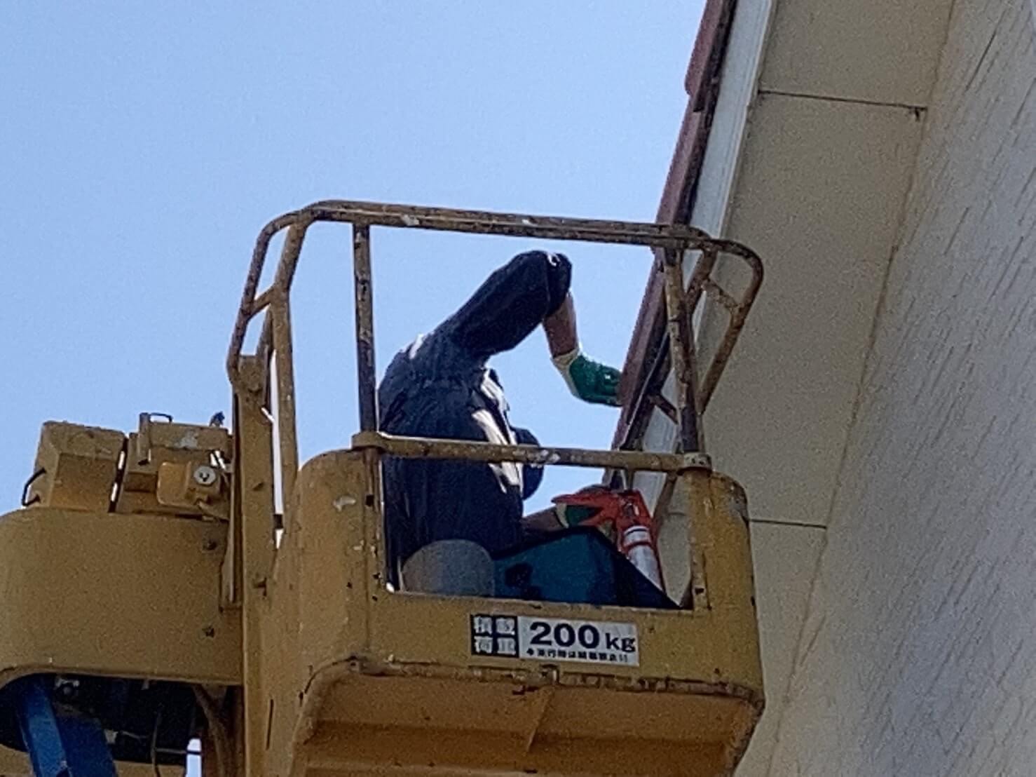 コウモリ駆除・対策チーム