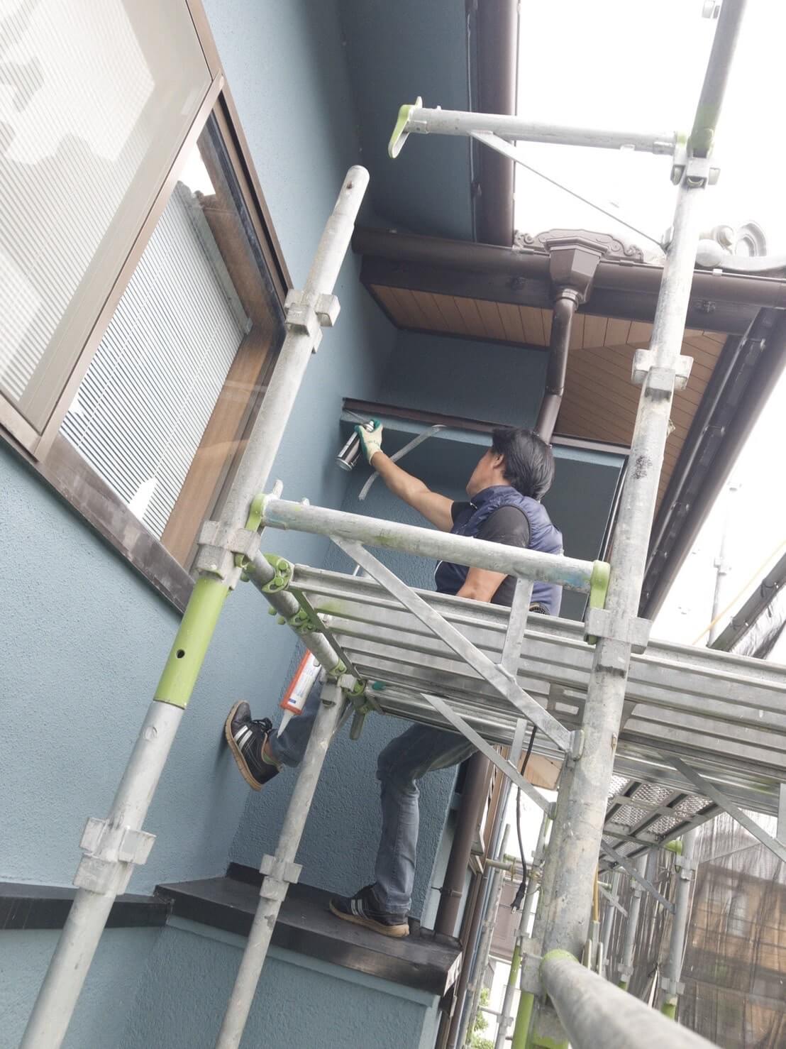 コウモリ駆除・対策チーム