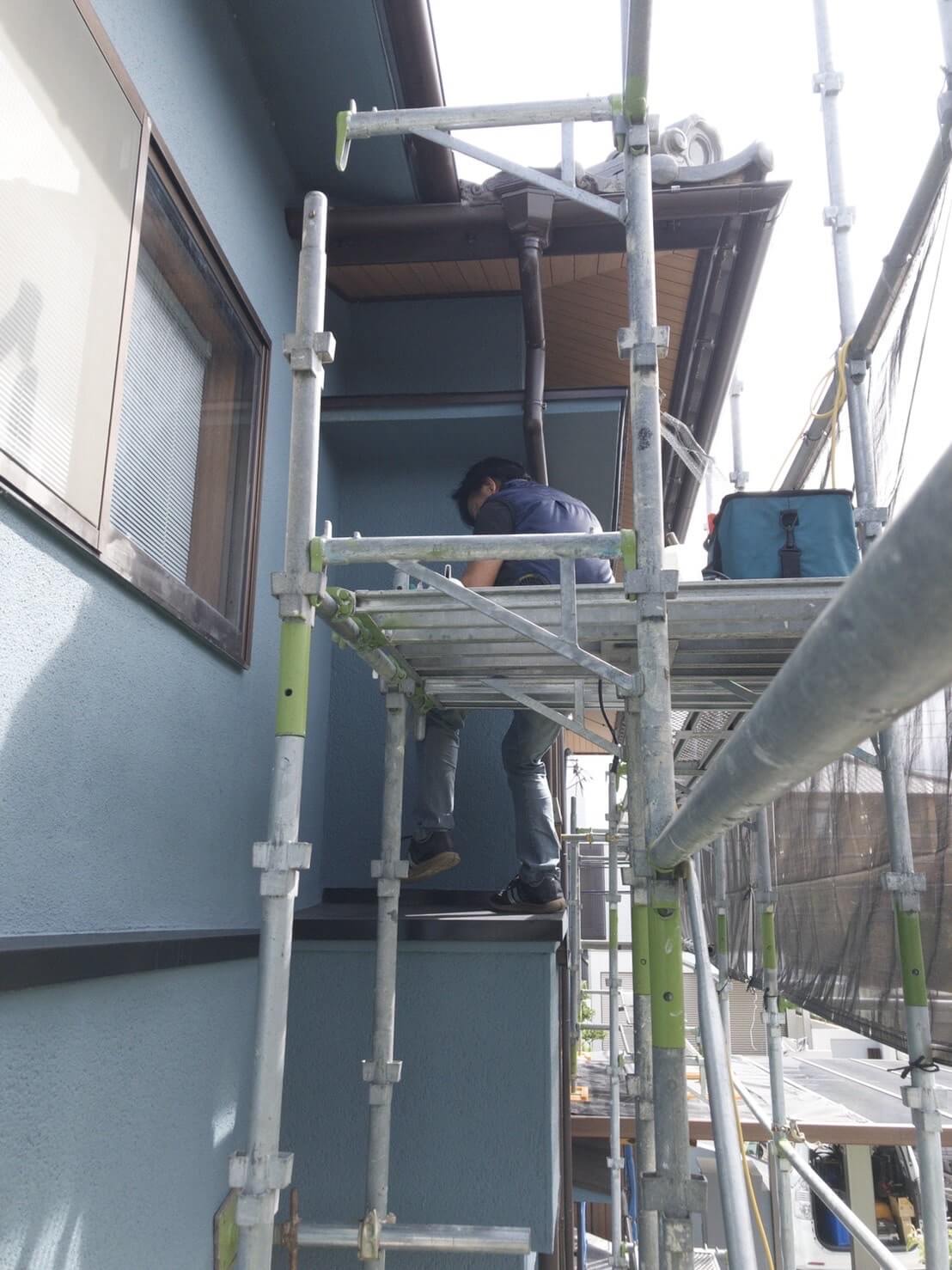 コウモリ駆除・対策チーム