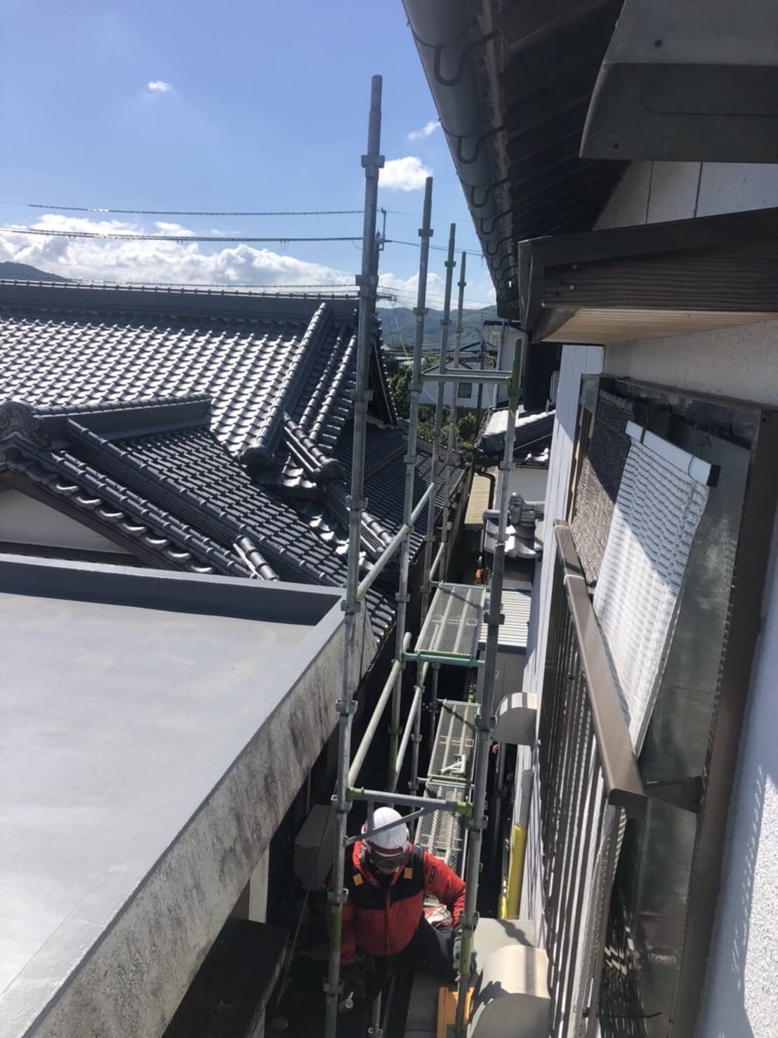 コウモリ駆除・対策チーム