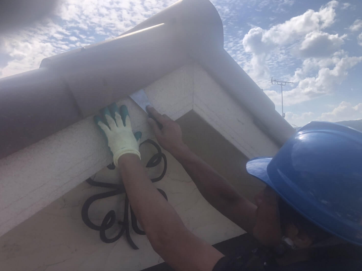 コウモリ駆除・対策チーム