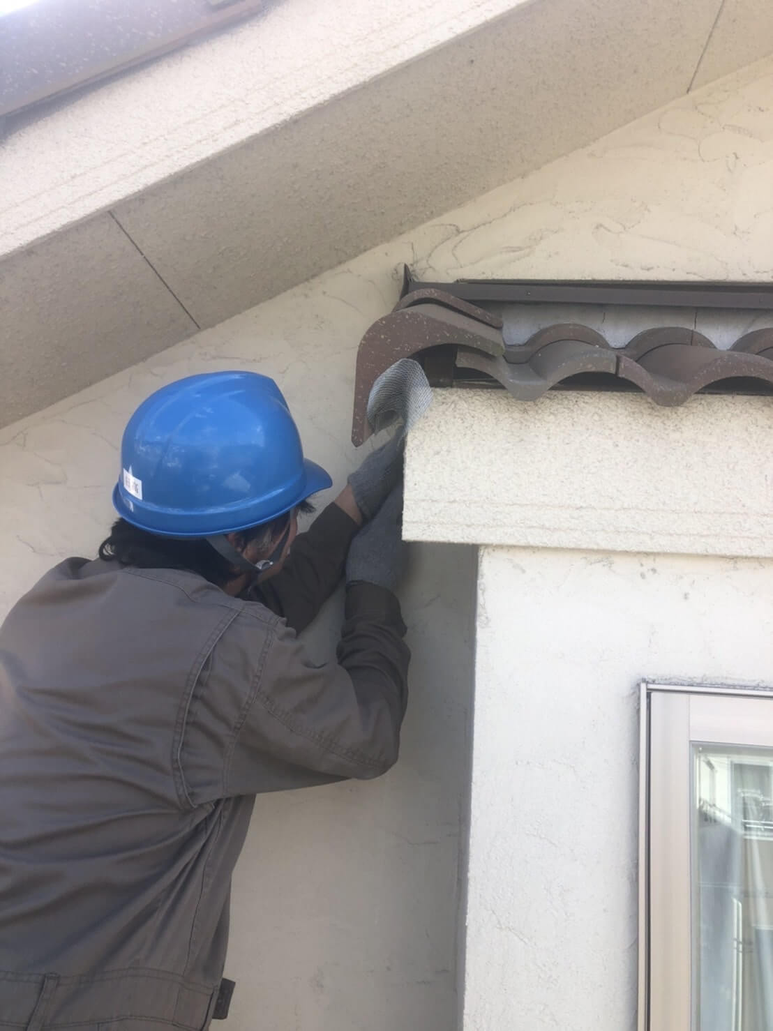 コウモリ駆除・対策チーム