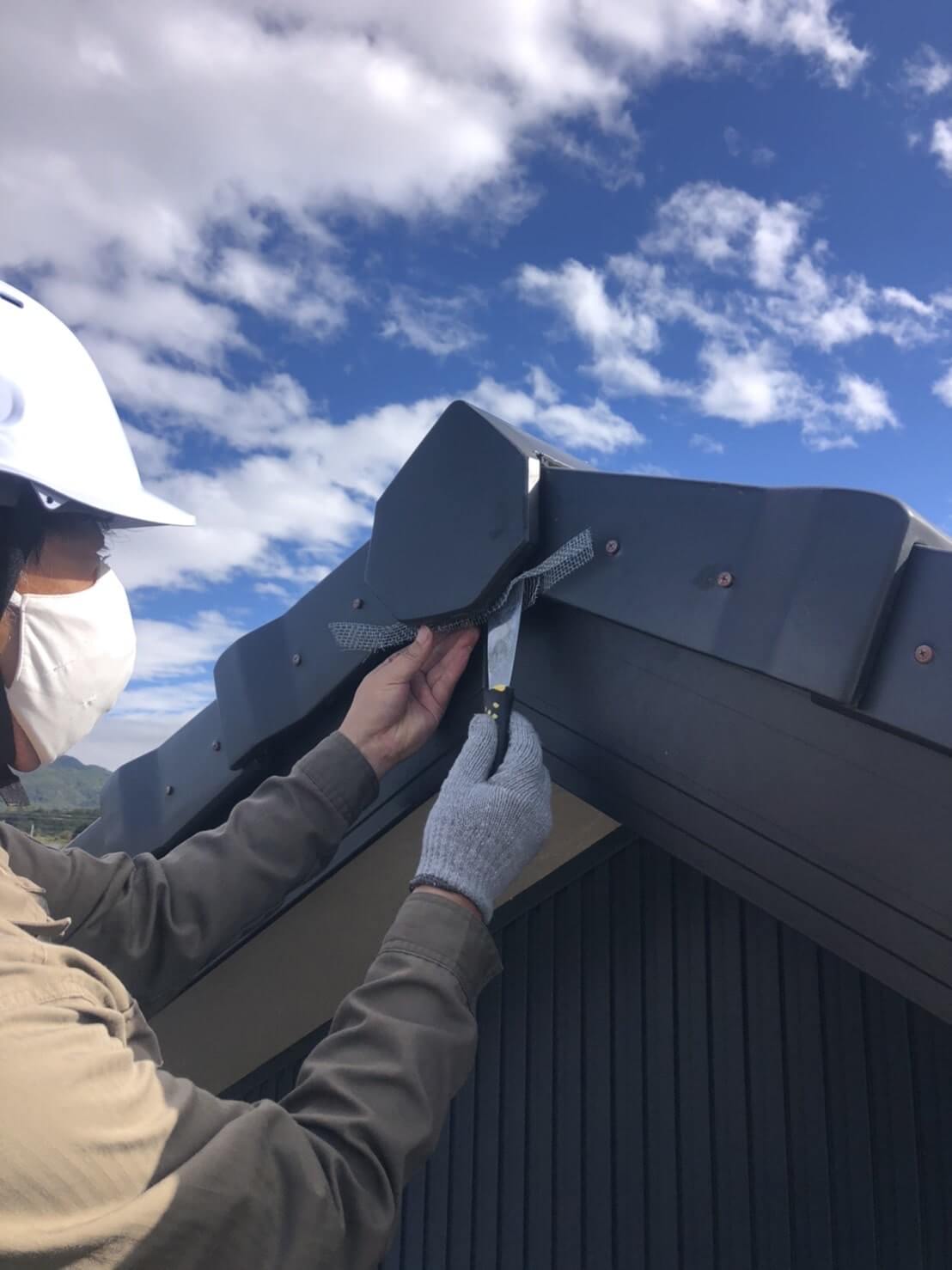 コウモリ駆除・対策チーム