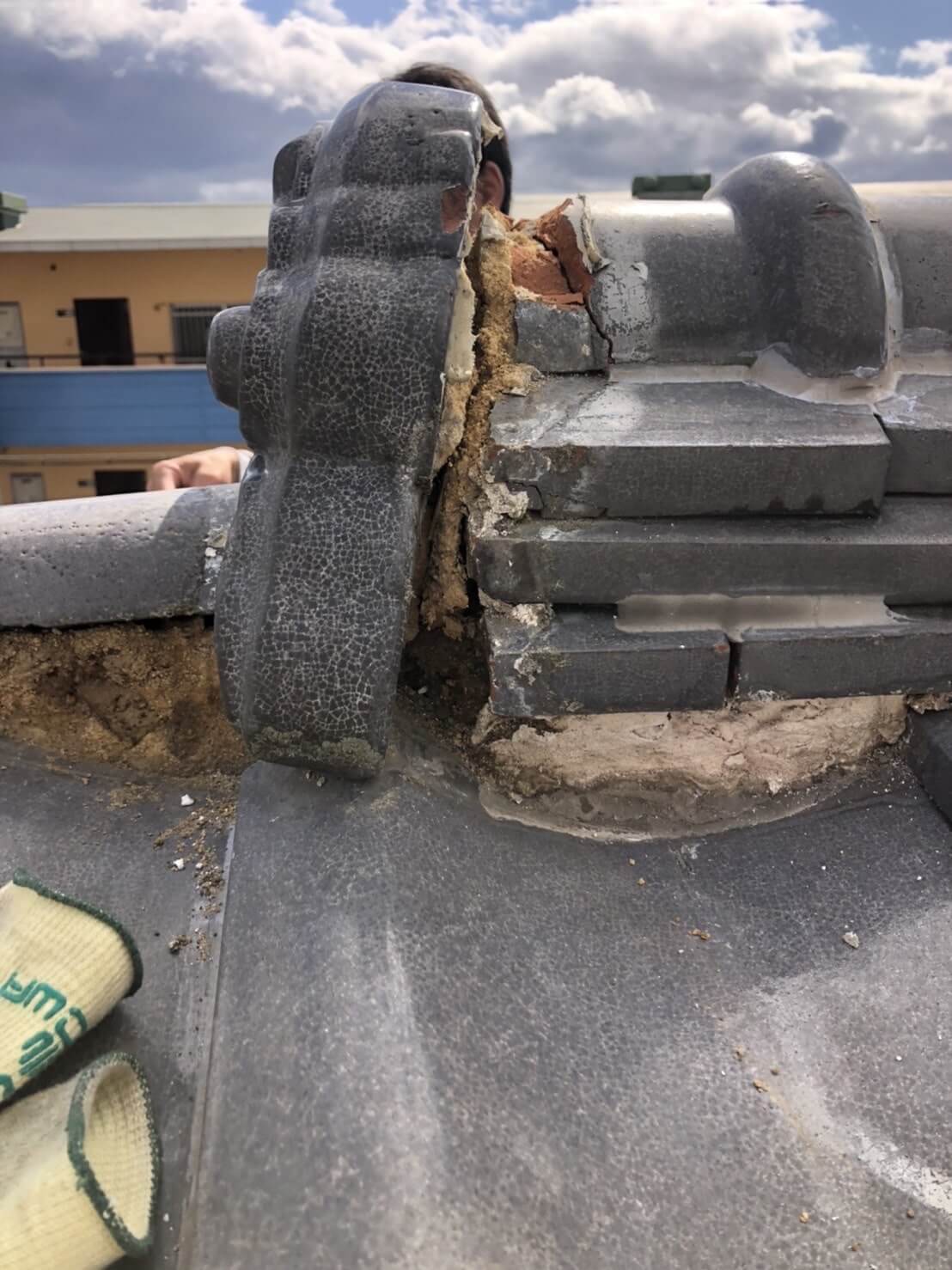 コウモリ駆除・対策チーム