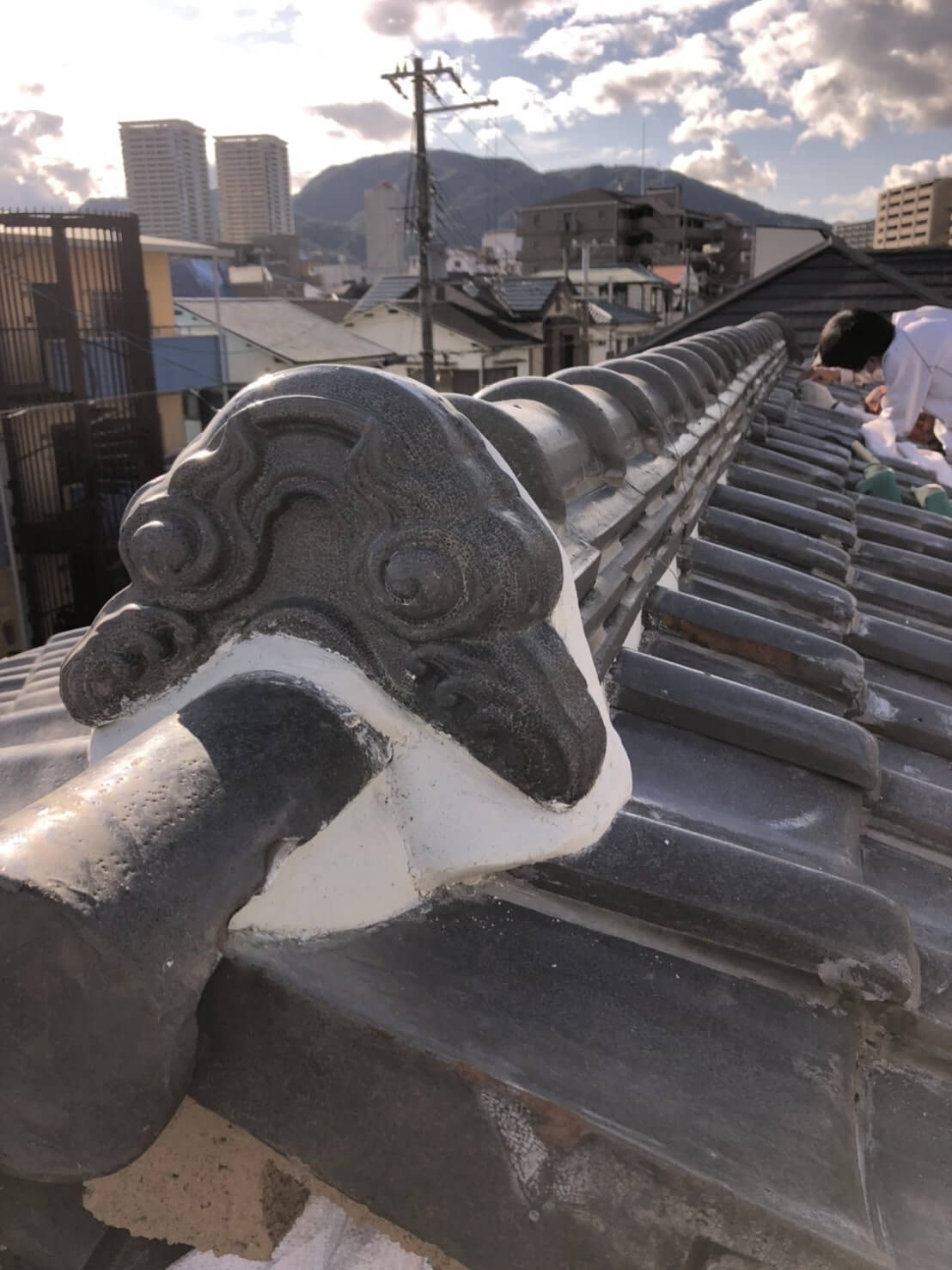 コウモリ駆除・対策チーム