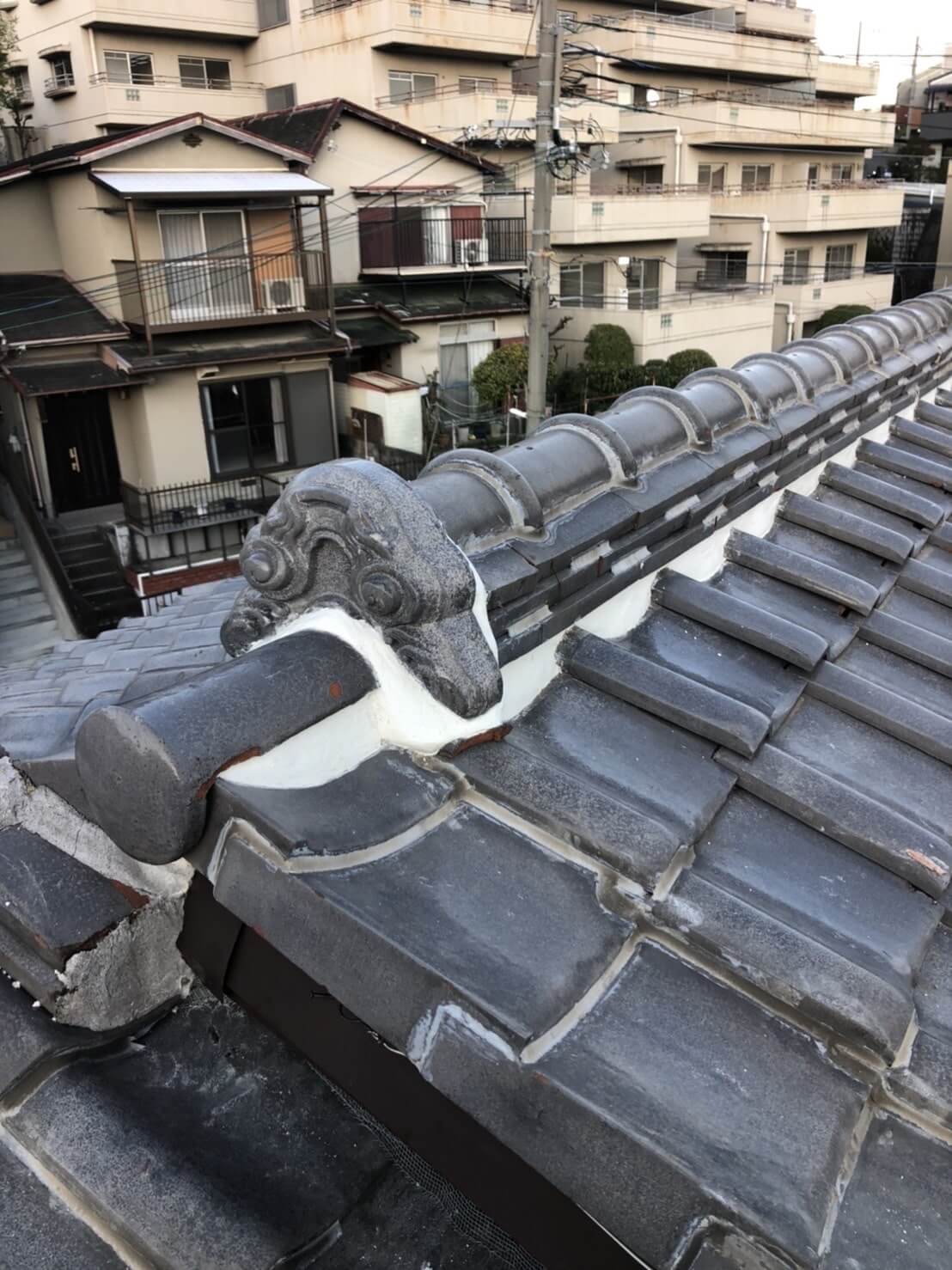 コウモリ駆除・対策チーム