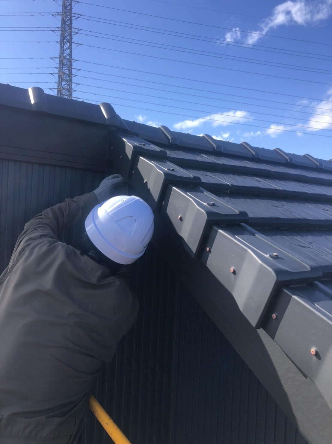 コウモリ駆除・対策チーム