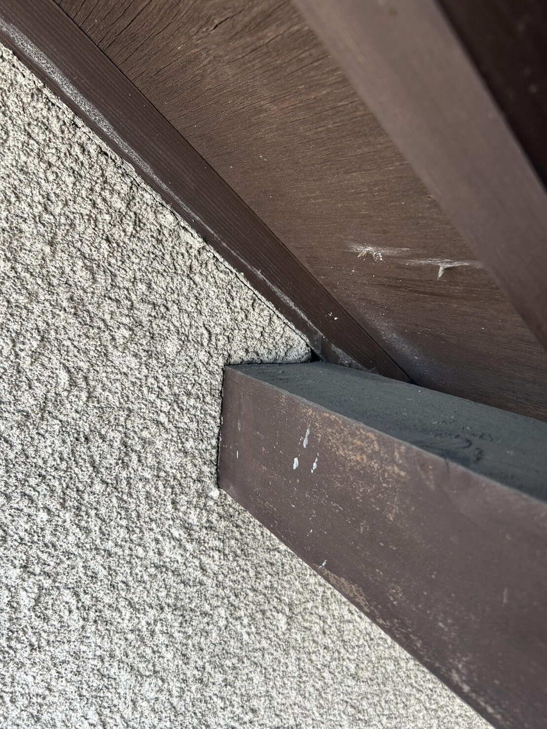 コウモリ駆除・対策チーム